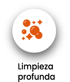 Limpieza Profunda